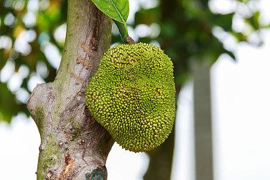 传《直到黎明》重制版开发中 登陆新主机